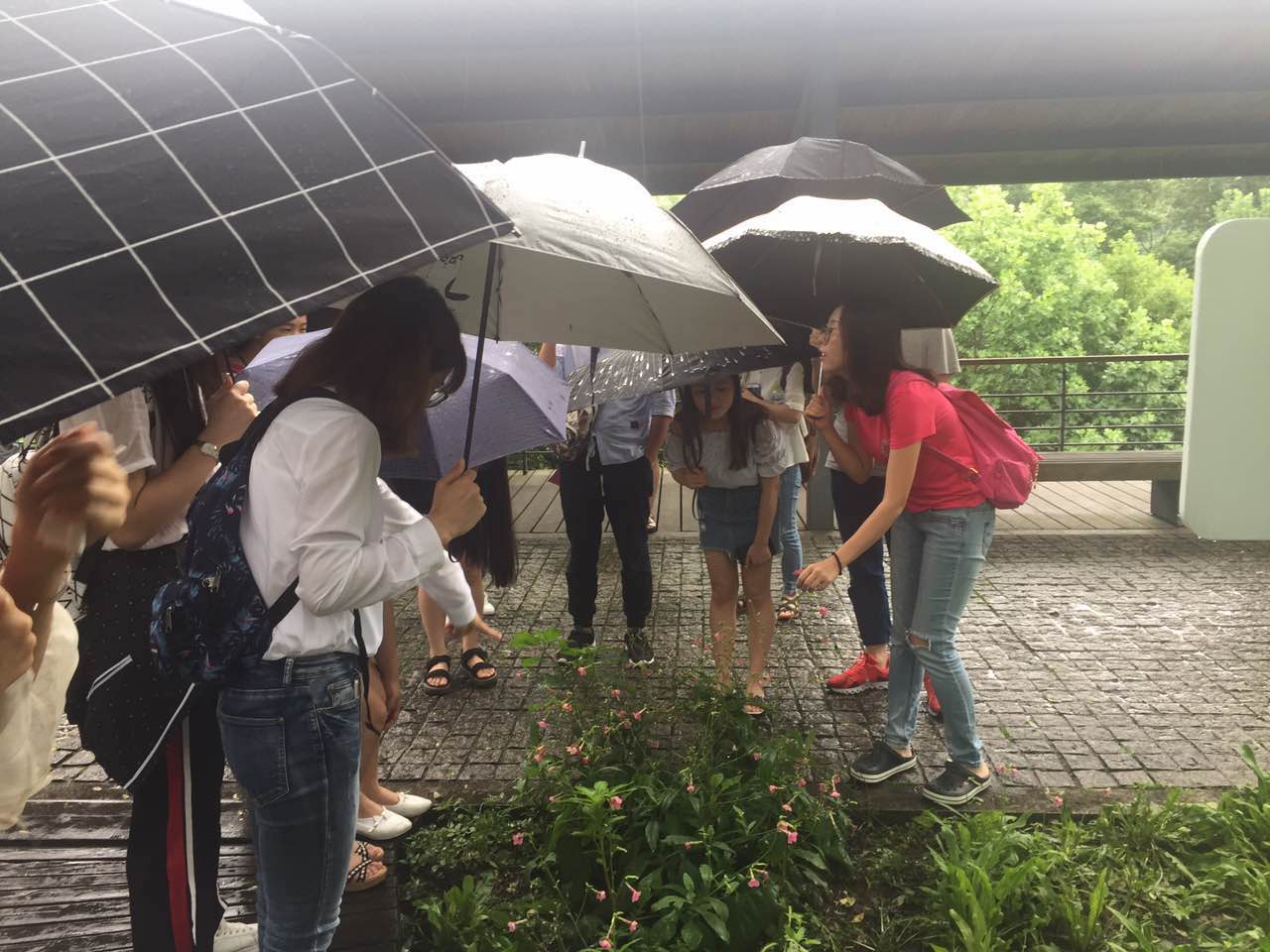 艺术设计系风景园林专业员工风貌