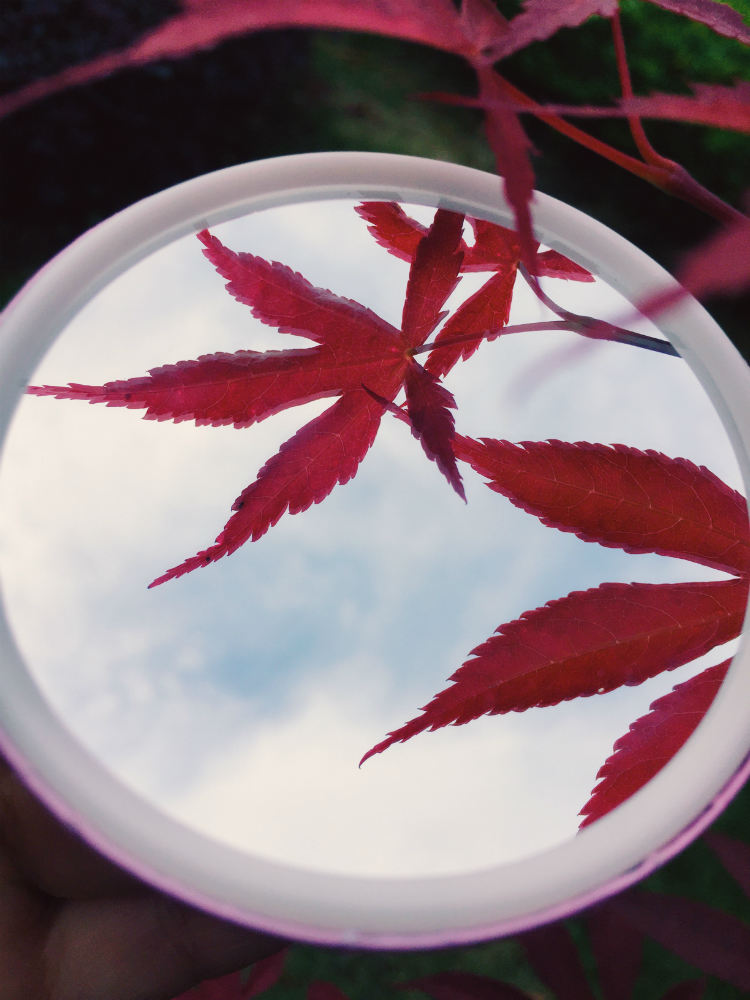 员工摄影大赛征集照片